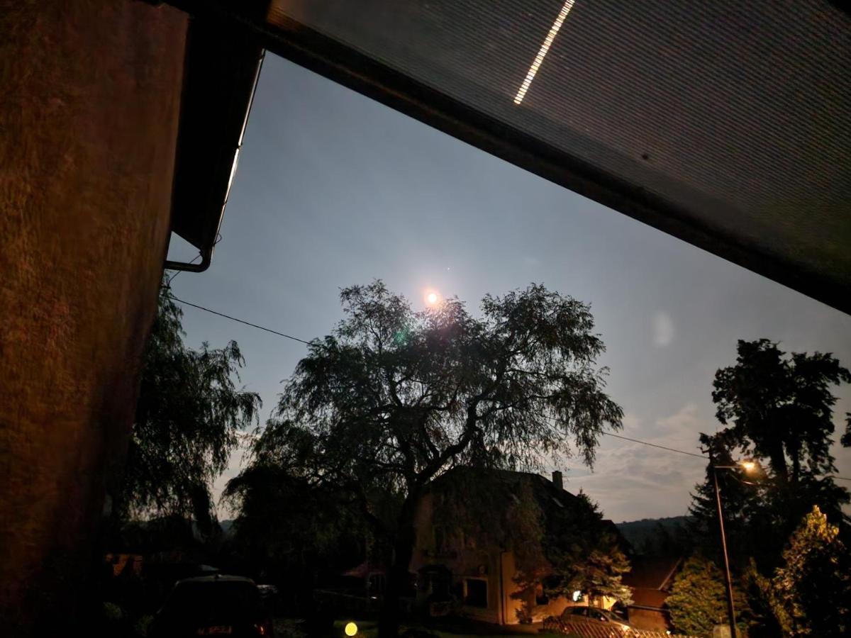 Penzion U Jezevce Hrensko Bagian luar foto